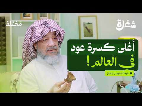 أربعون عاماً في عالم العود: كيلو عود بمليون ريال 2026