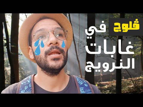 تايه في وسط جبال وغابات النرويج 2026