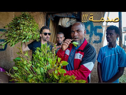 زرت اكبر سوق قات بالعالم 2026