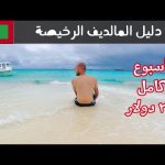 دليل المالديف بأقل التكاليف – أسبوع كلفني ٢٠٠ دولار 🇲🇻 2026
