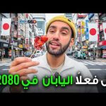 سافرت إلى مدينتي كيوتو و أوساكا في اليابان 2026