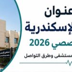 رقم وعنوان مستشفى الإسكندرية الجامعي التخصصي 2026 .. طرق التواصل ومواعيد العمل