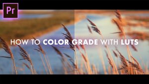 كورس Color Grading + Correction Tutorials and Effect How to's
