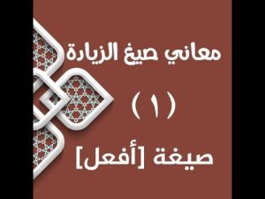 كورس معاني صيغ الزيادة من الصفر باللغة العربية