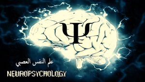كورس علم النفس العصبي/ المستوى الثامن من الصفر باللغة العربية