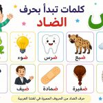 كلمات عربية تبدأ بحرف الضاد للأطفال .. أكثر من 50 كلمة سهلة مع أمثلة