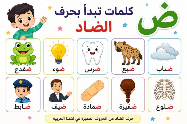 كلمات عربية تبدأ بحرف الضاد للأطفال .. أكثر من 50 كلمة سهلة مع أمثلة