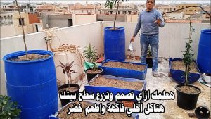 كورس زراعة السطح Mesr Farms