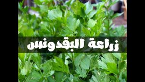 كورس زراعة