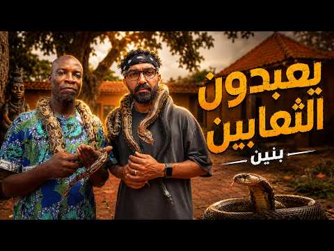 لماذا يعبدون الثعبان في بنين؟!