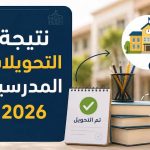 نتيجة تحويلات الجيزة 2026.. رابط الاستعلام وخطوات معرفة قبول طلب التحويل