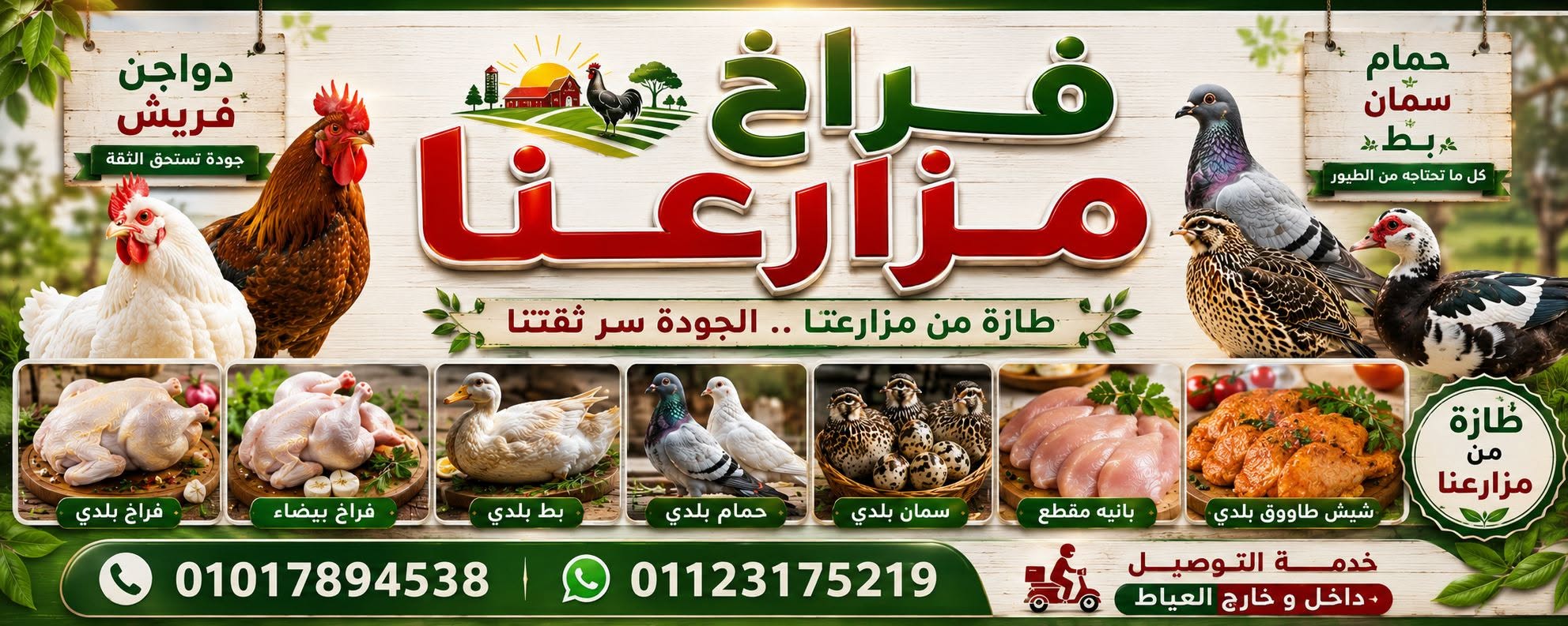 فراخ مزارعنا: من قلب المزرعة إلى مائدتك مباشرة.. الجودة هي سر ثقتنا!