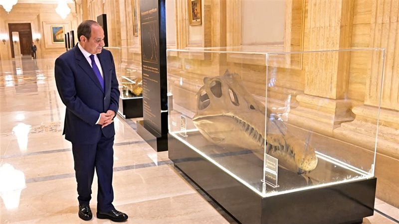 أخبار الرئيس السيسي اليوم الجمعة 2 أكتوبر 2026.. قرارات جديدة وموعد منتدى العلمين أفريقيا