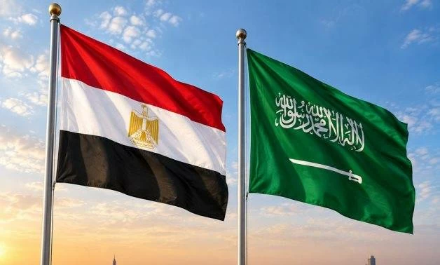 مصر تدين استهداف محطة كهرباء بالمدينة المنورة في المملكة العربية السعودية